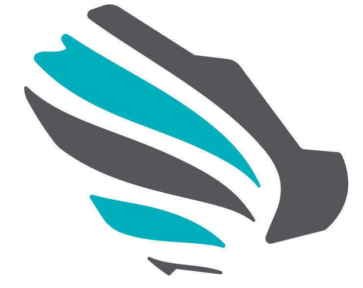 Saudi Federation for Cybersecurity, Programming and Drones