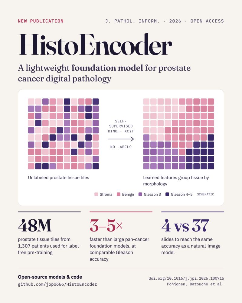 HistoEncoder publication poster from Oussama Batouche’s LinkedIn post, illustrating label-free tissue representation learning and key study findings.